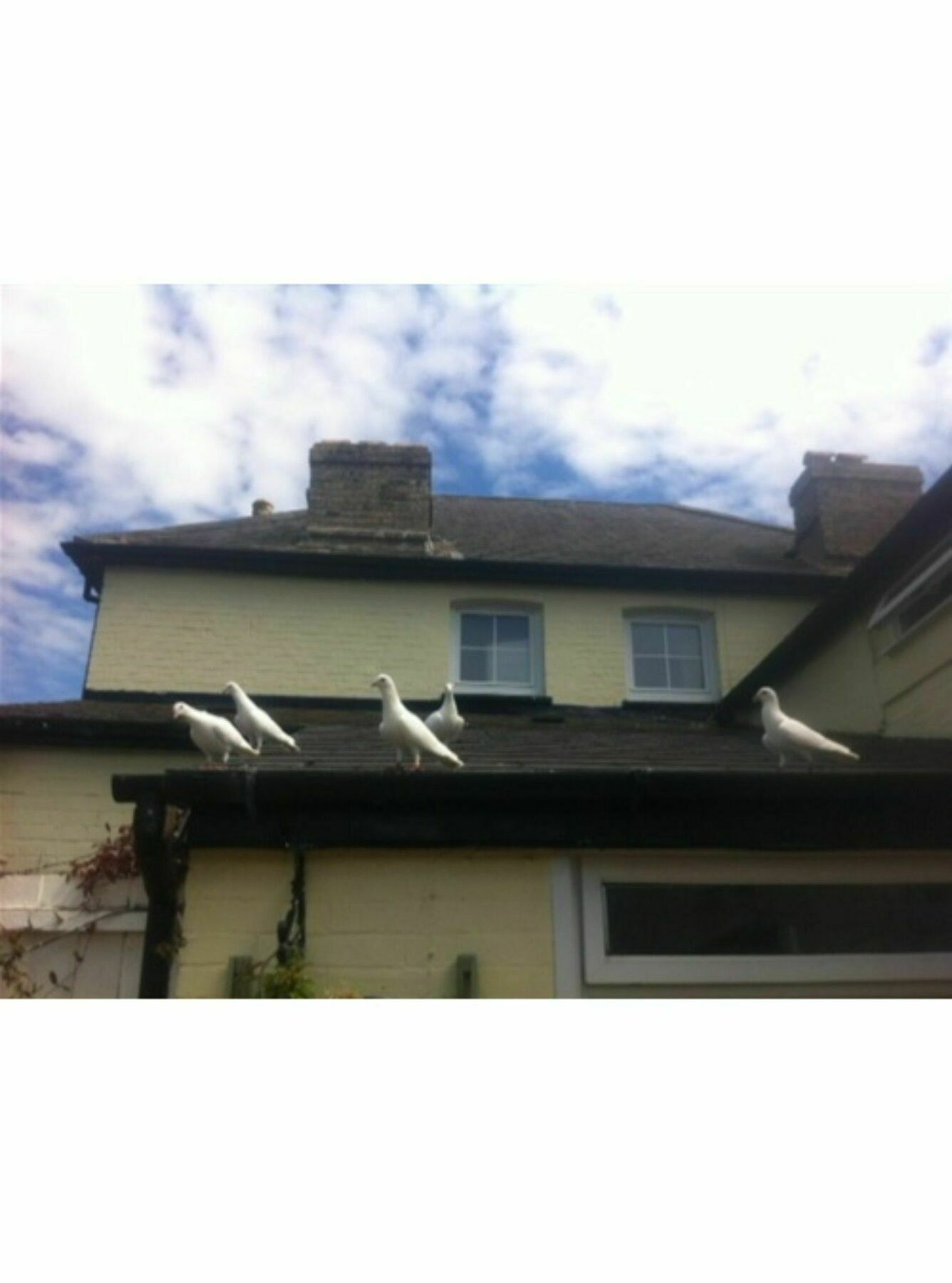 Long Melford Accommodation, Old Stables Exterior photo